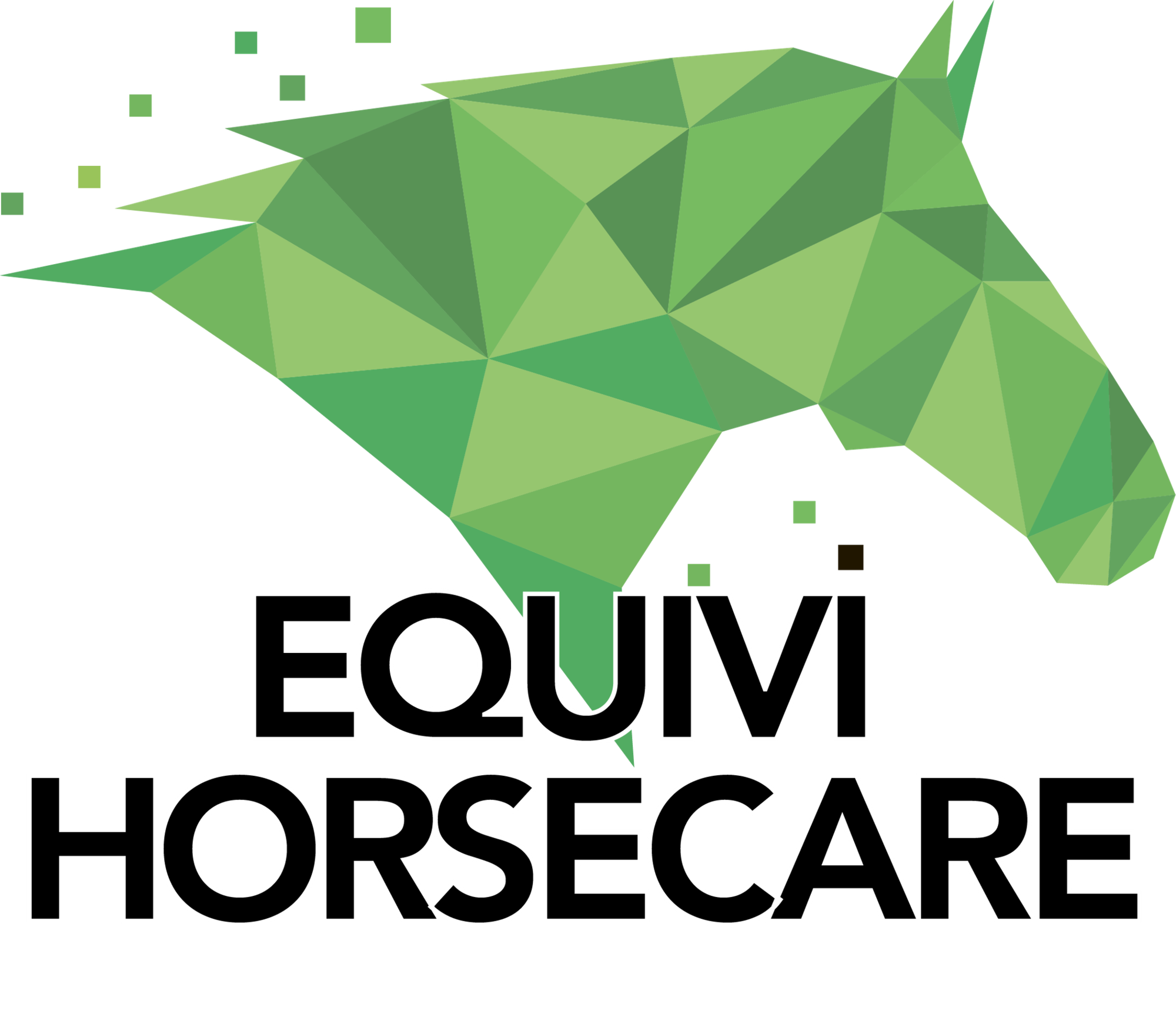 Equivi