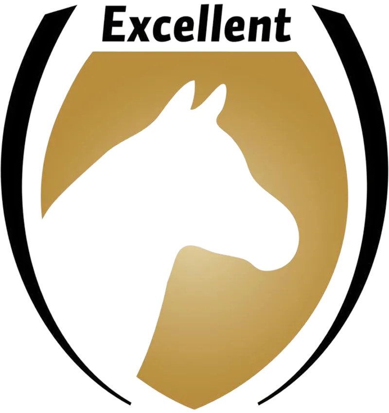 Excellent Horse