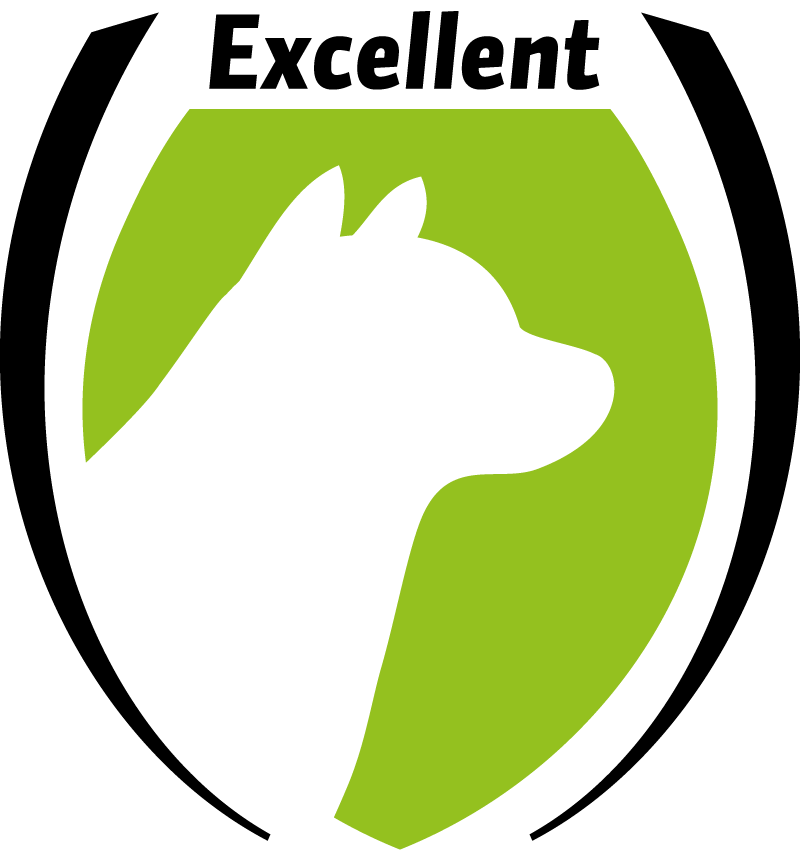 Excellent Dog