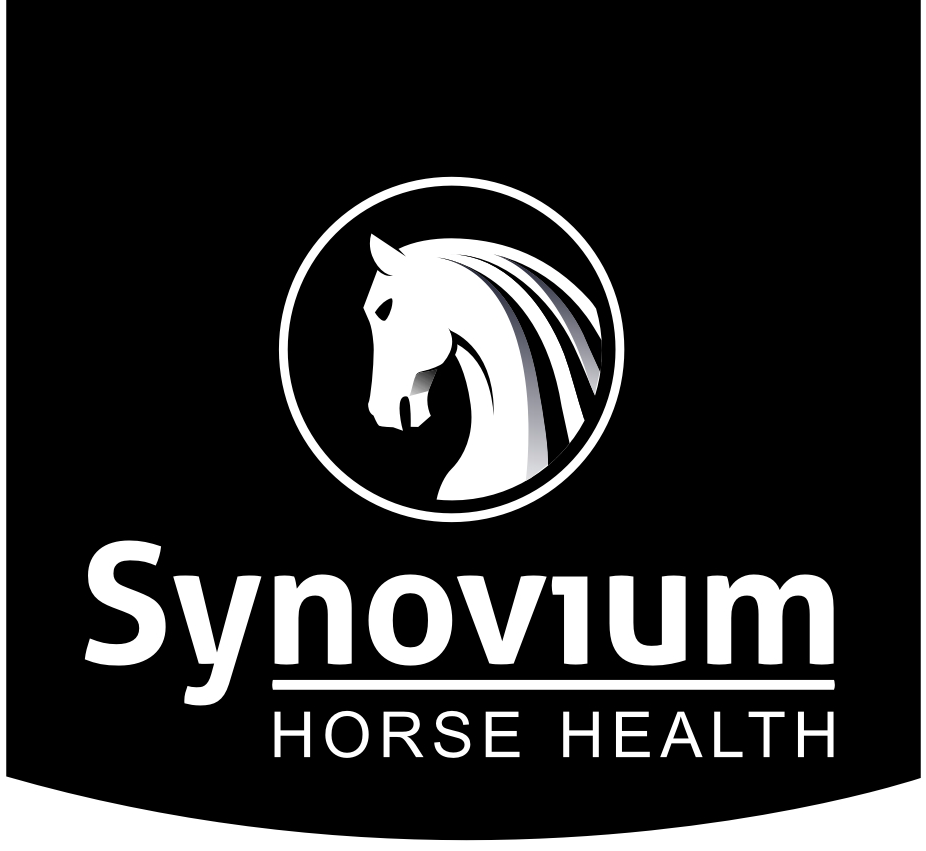 Synovium