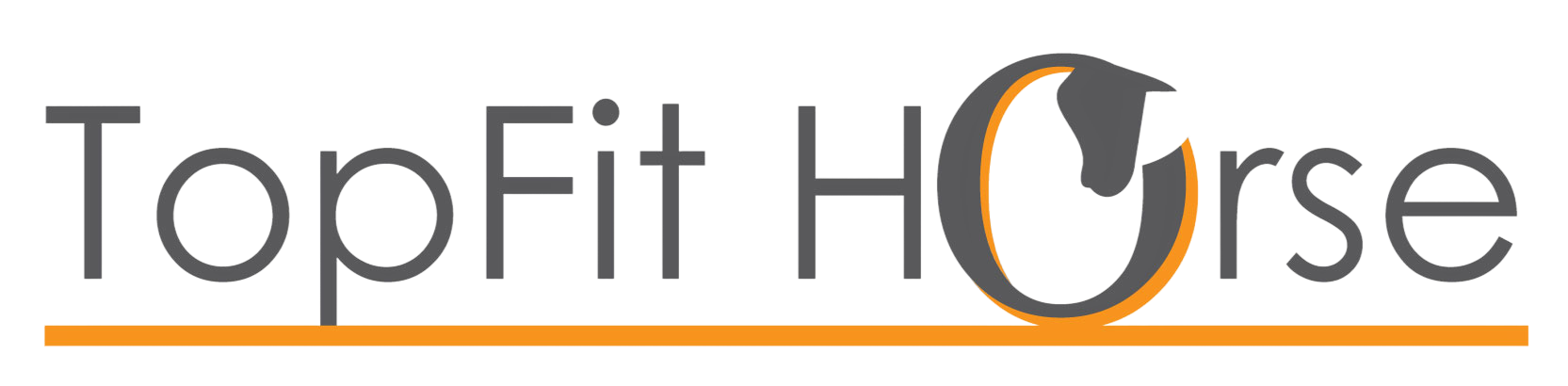 TopFit