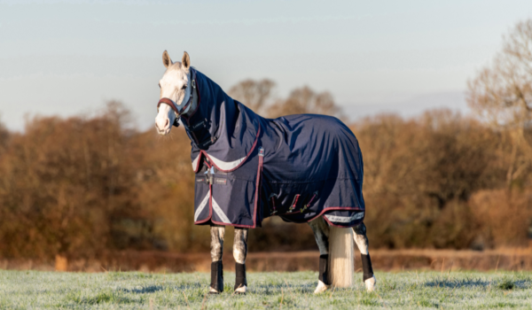 Review: LeMieux Kudos Turnout Deken 50gr - By Femke Boerma-Maats