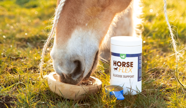 HorseFlex: Powerful, natural supplements for a vital horse