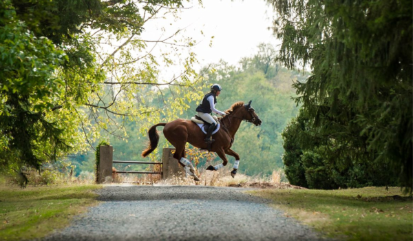 Cavalor: Discover the magic of Cavalor's pre- and probiotics