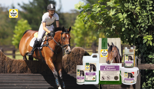 Vitalstyle: Optimal Support for Sport Horses