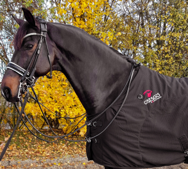 Review: Catago FIR-Tech deken - By Maxime Osse, MaxEquine