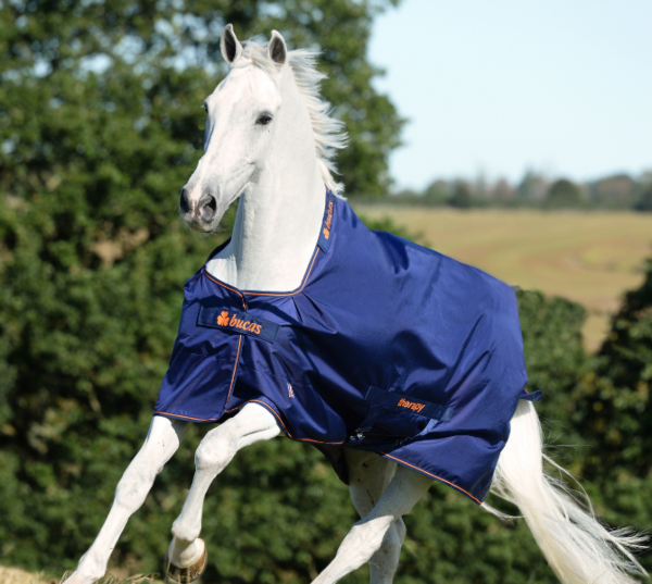 Gastblog by Bucas: Bucas Therapy Turnout