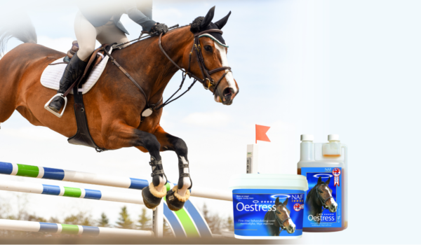 Help your mare during her oestrus cycle with NAF Oestress