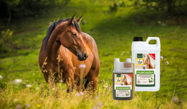 VitalStyle: Ondersteuning bij PPID: wat doet CushComfort voor oudere paarden?