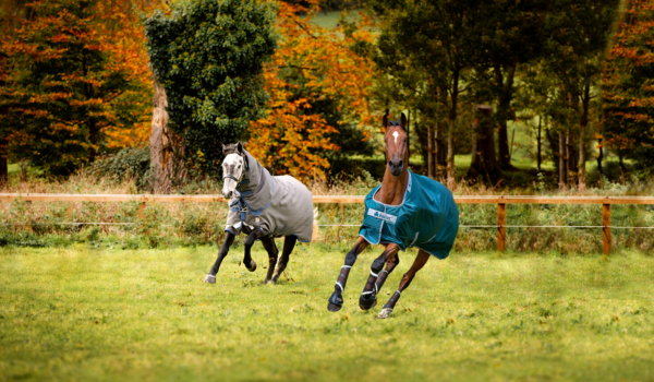 Het verschil tussen de Bucas en Horseware dekens