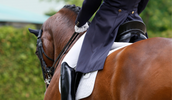Rechtrichten: Deel II - By Maxime Osse, Maxequine