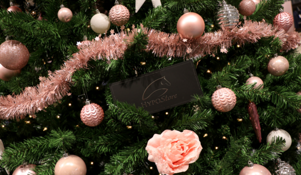 Hypostore Gift Guide: De Must-Haves voor paardenliefhebbers