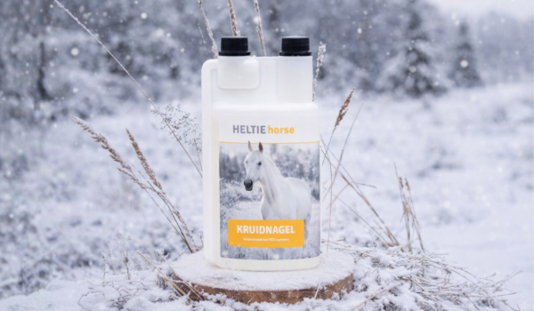 Supporting your horse’s immune system during the winter dip