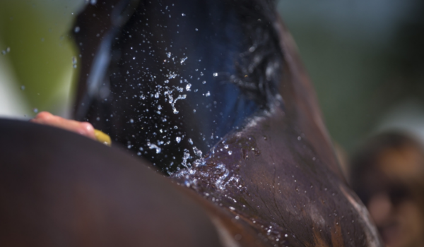 Guest blog by JRS: All you need to know about sweating & electrolytes