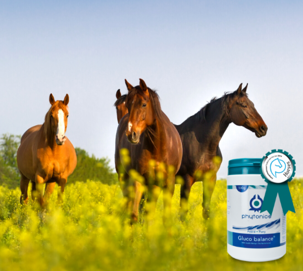 Gastblog by Phytonics: Phytonics Gluco Balance