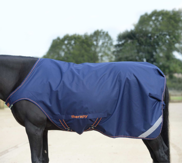 Gastblog by Bucas: Bucas Therapy Walker