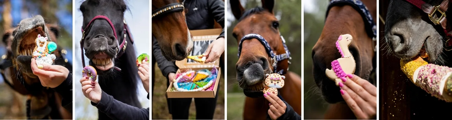 Candy Horse Stable Party 2026 Candy Horse Stable Party 2026