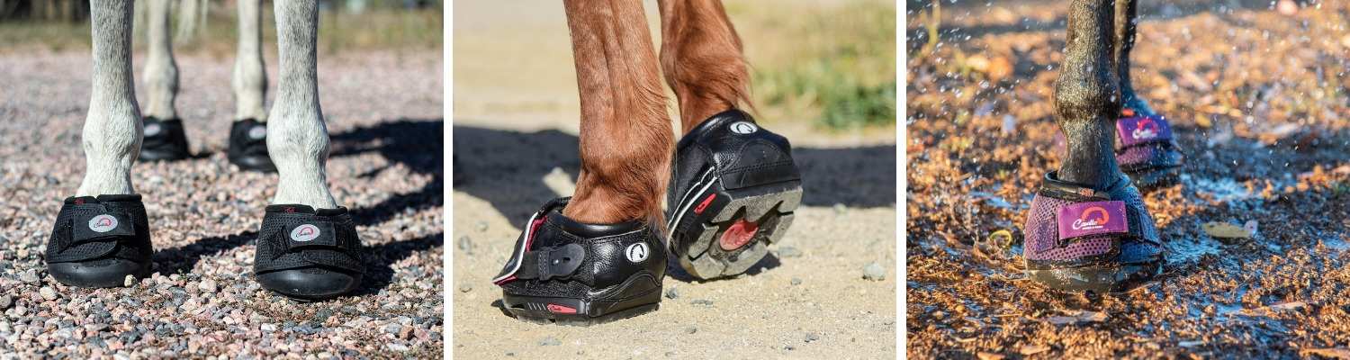 Hoefschoenen