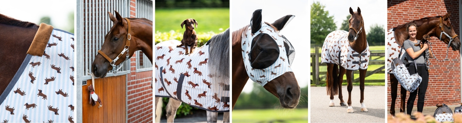 QHP Stable Buddy