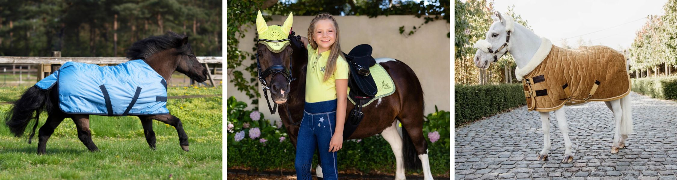 Mini & Pony - Trust - BR Mini & Pony - Trust - BR