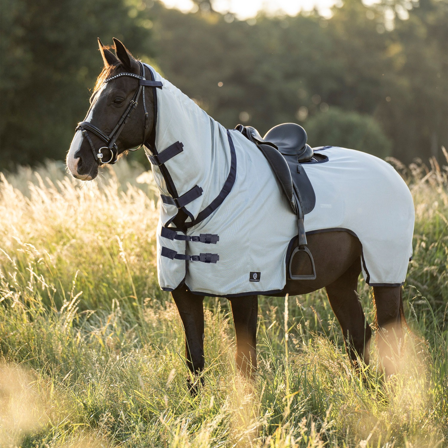 Imperial Riding Fly Exercise Sheet Royce