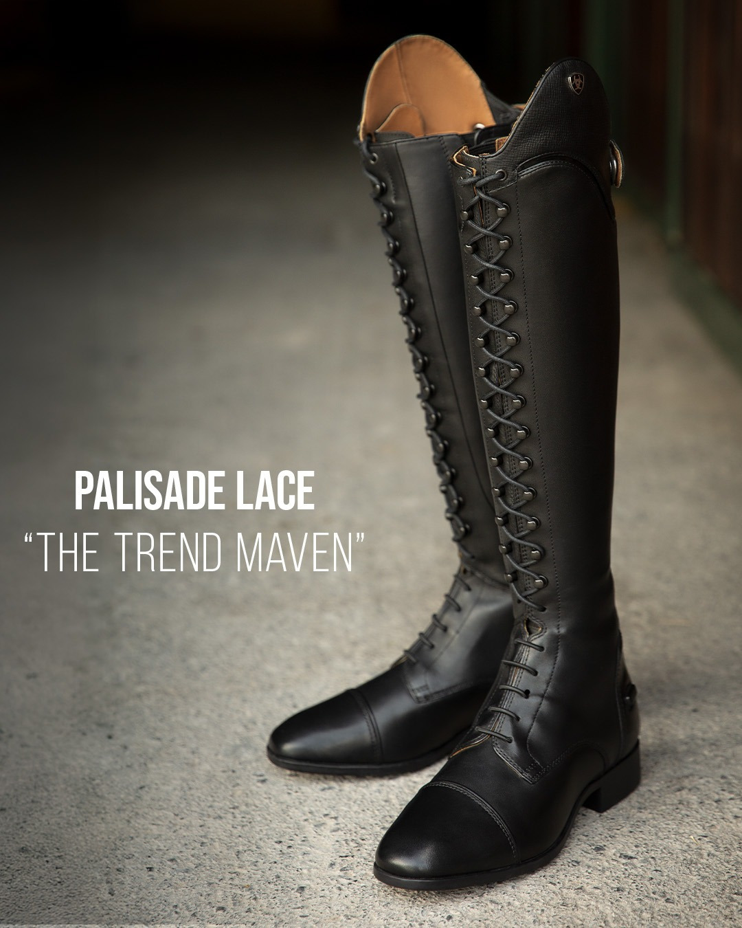 Ariat Palisade Tall Rijlaarzen Lace
