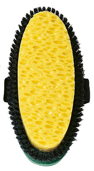 Haas Combination Brush