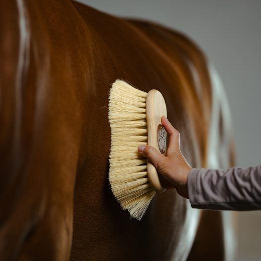 Borstiq Körperbürste 7 cm "Mexfiber"