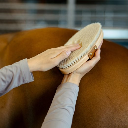 Borstiq Fertigbürste mit Ziegenhaar und Lederhandschlaufe