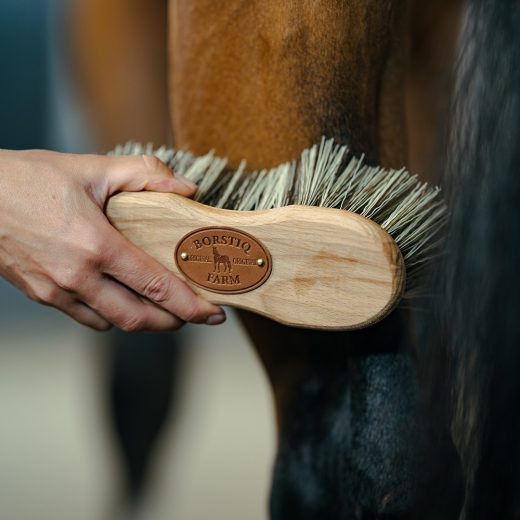 Borstiq Körperbürste mit Polypropylenfasern