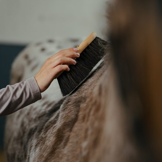 Borstiq Handbürste mit Arenga-Fasern