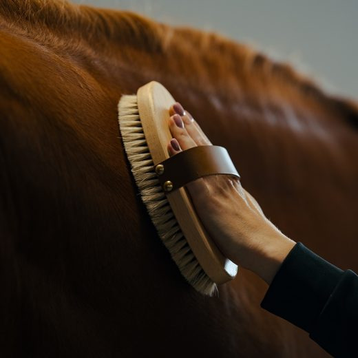 Borstiq Finishbürste mit Pferdehaar und Lederhandschlaufe