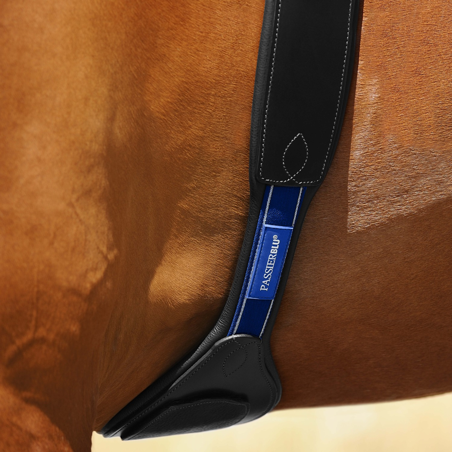 Passier Grip Ledersattelgurt