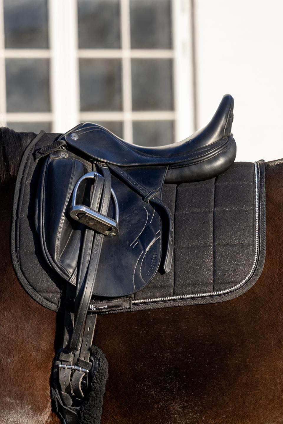 Horseguard FW25 Voni Schabracke