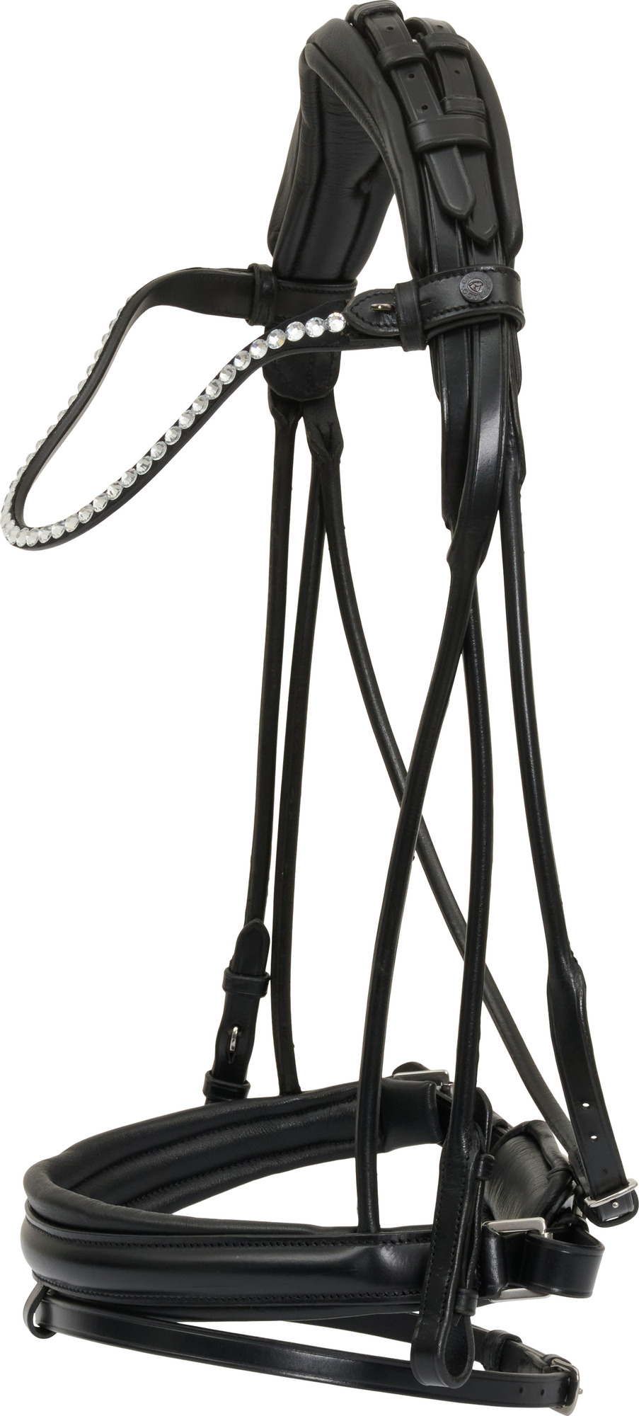 Catago FW26 Midlan Bridle