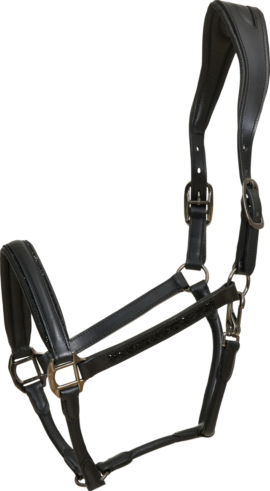 Catago FW26 Halster Rochester