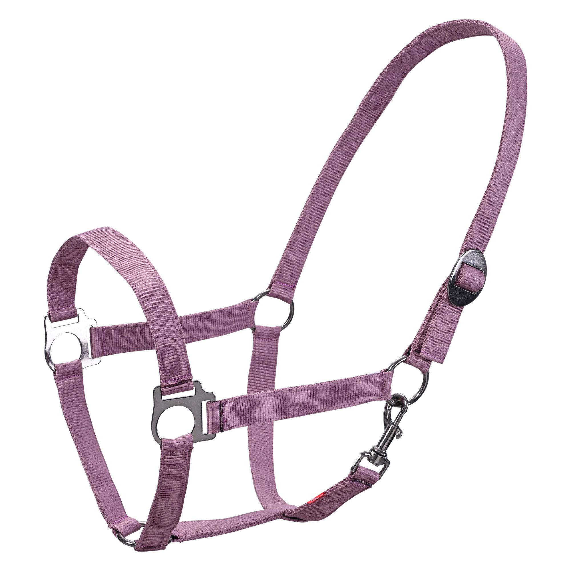 Imperial Riding FW26 Halter IRHEconomic