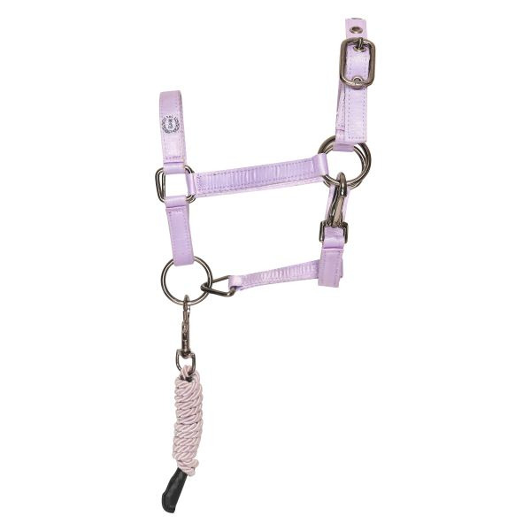 Imperial Riding SS26 Hobby Horse halter IRHFree Spirit