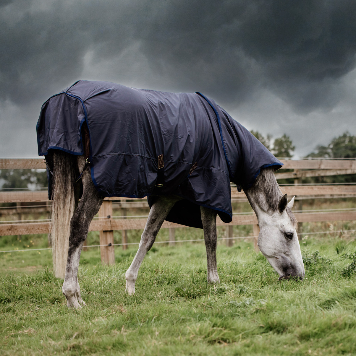 Kentucky Turnout Rug All Weather Hurricane 0g