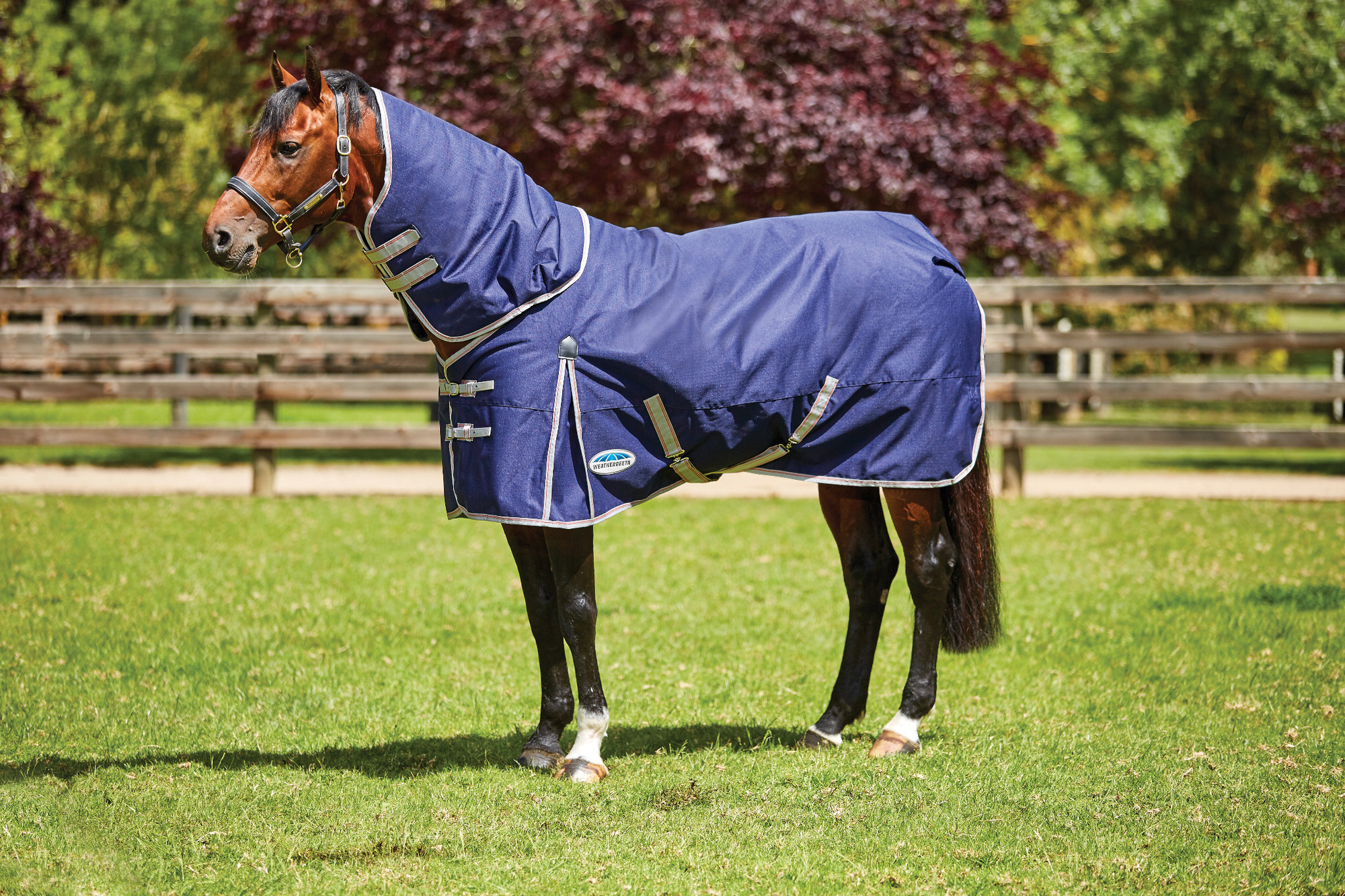 Weatherbeeta ComFiTec Essential Detach-A-Neck Lite Plus Navy/Silver/Red