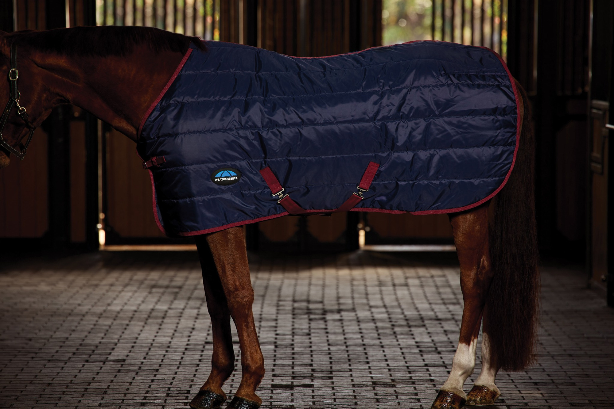 Weatherbeeta Comfitec 210D Channel-Quilt Stable Blanket, Standard Neck, 100G
