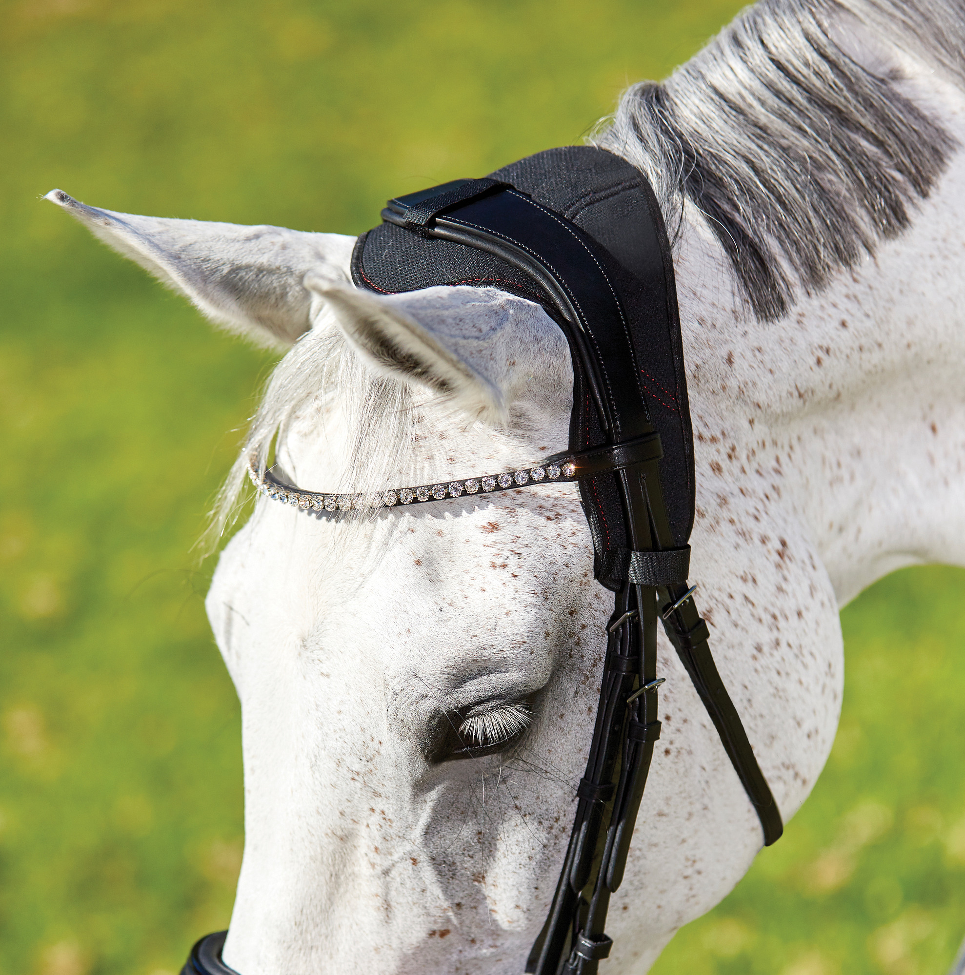 WeatherBeeta Therapy-Tec Anatomical Crown Pad