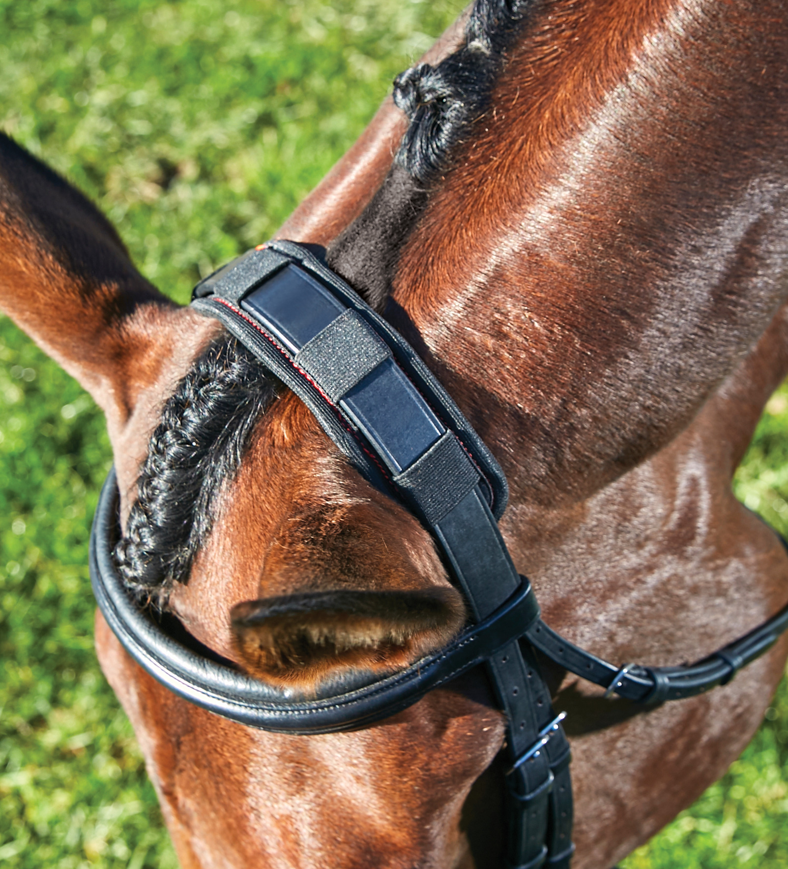 WeatherBeeta Therapy-Tec Poll Cushion