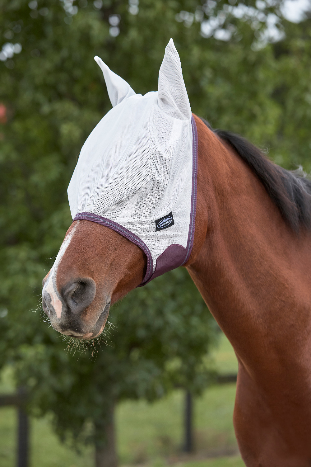Weatherbeeta ComFiTec Essential Mesh Fly Mask