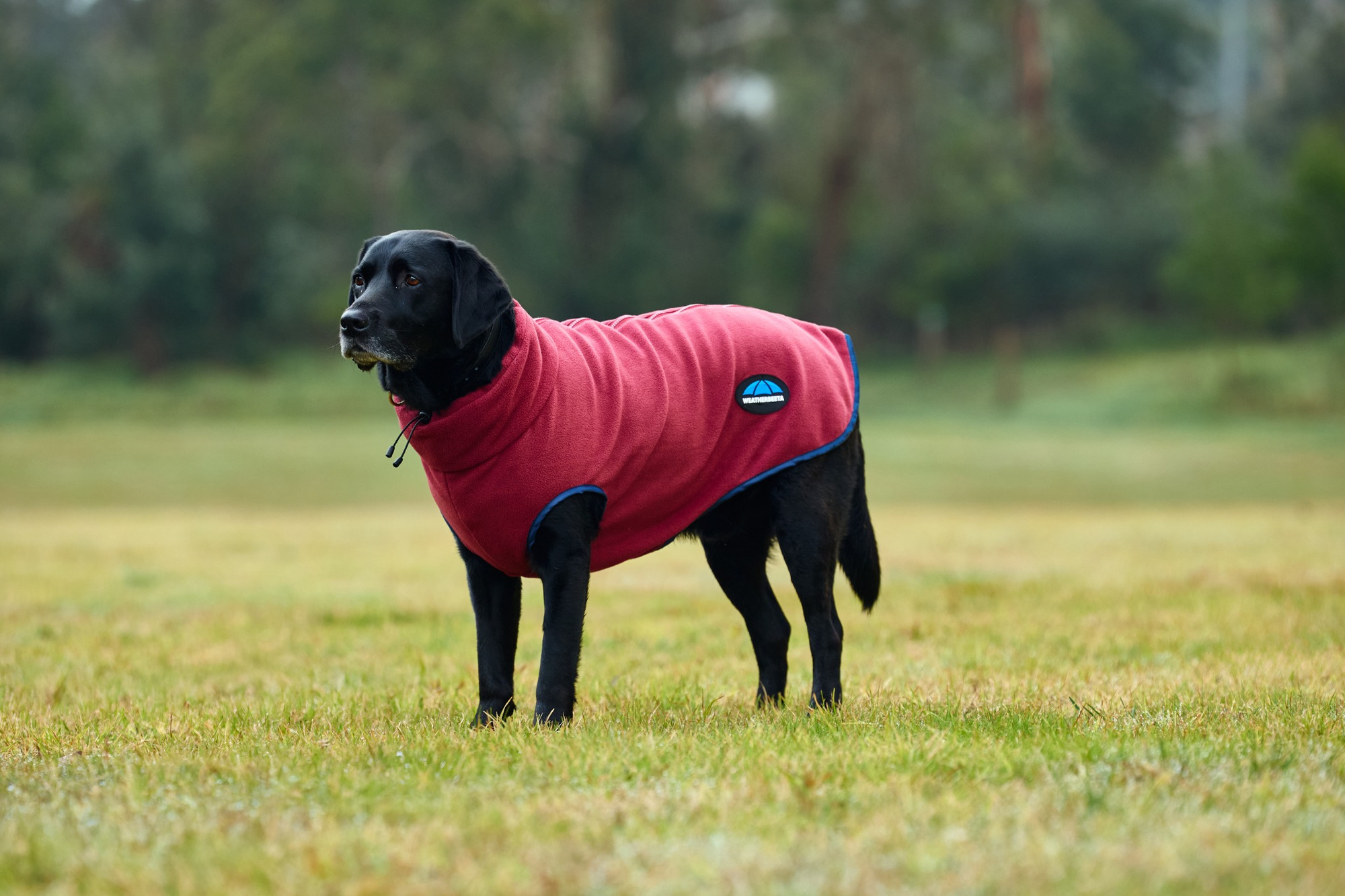 Weatherbeeta ComFiTec Fleece Zip Dog Coat II