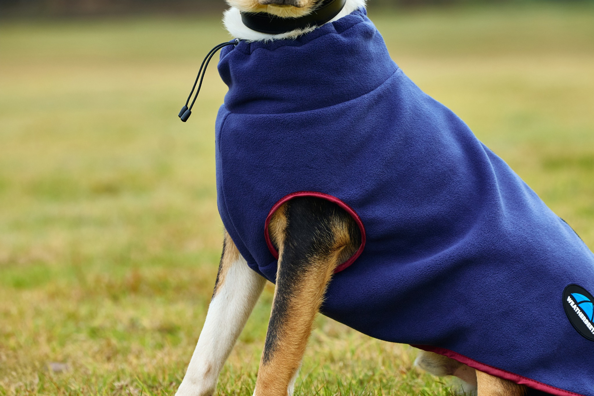 Weatherbeeta ComFiTec Fleece Zip Dog Coat II
