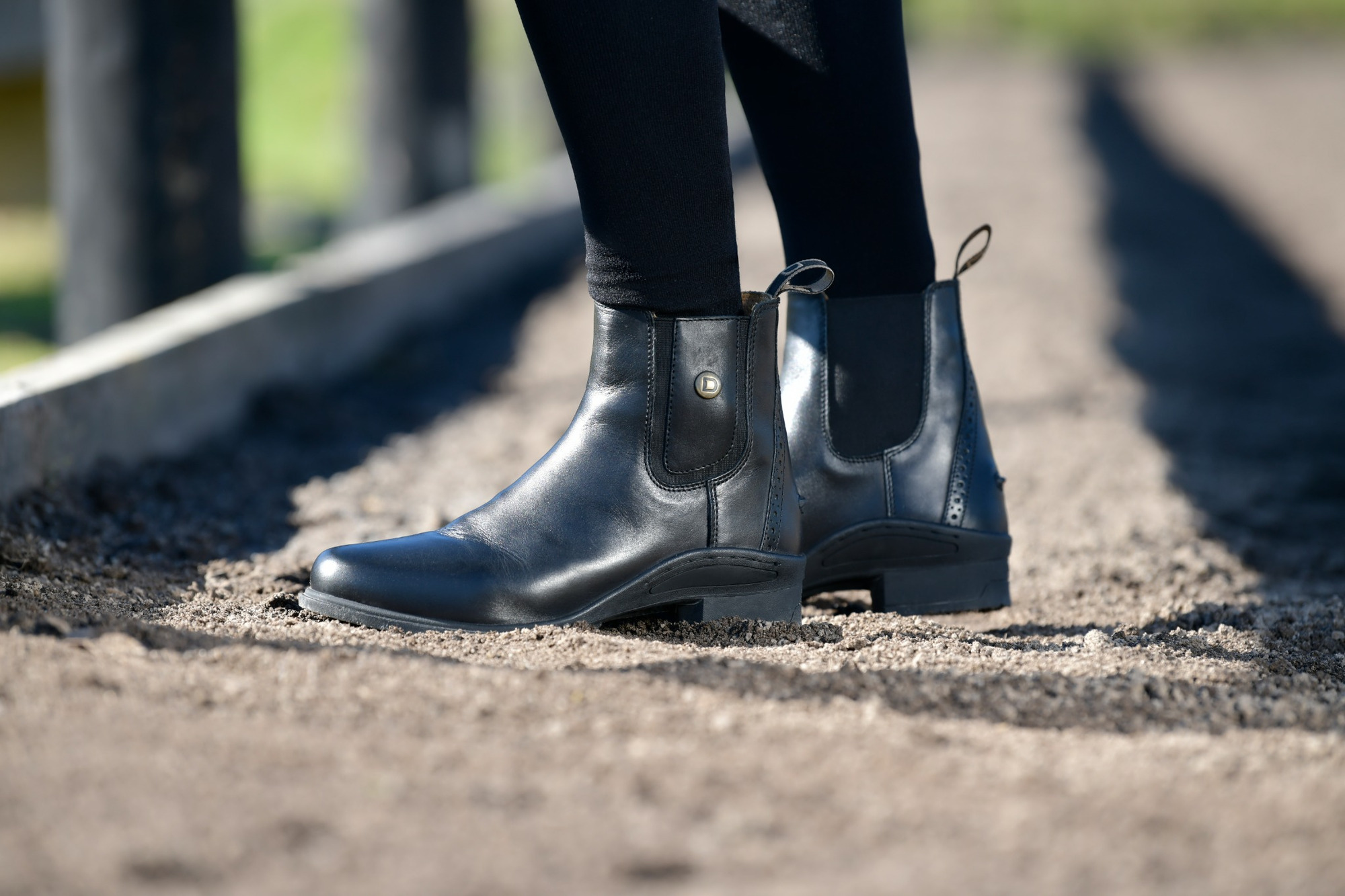 Dublin Rapture Jodhpurs