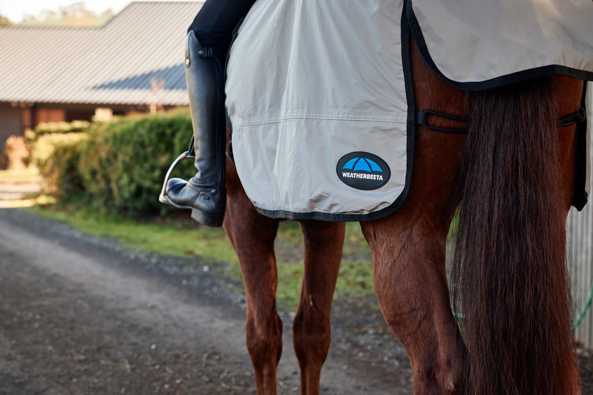 Weatherbeeta Reflective Wrap-Around Exercise Sheet