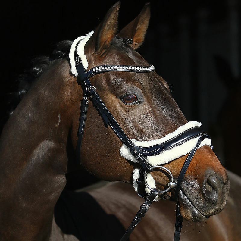 Euroriding Trense Leon mit Fell