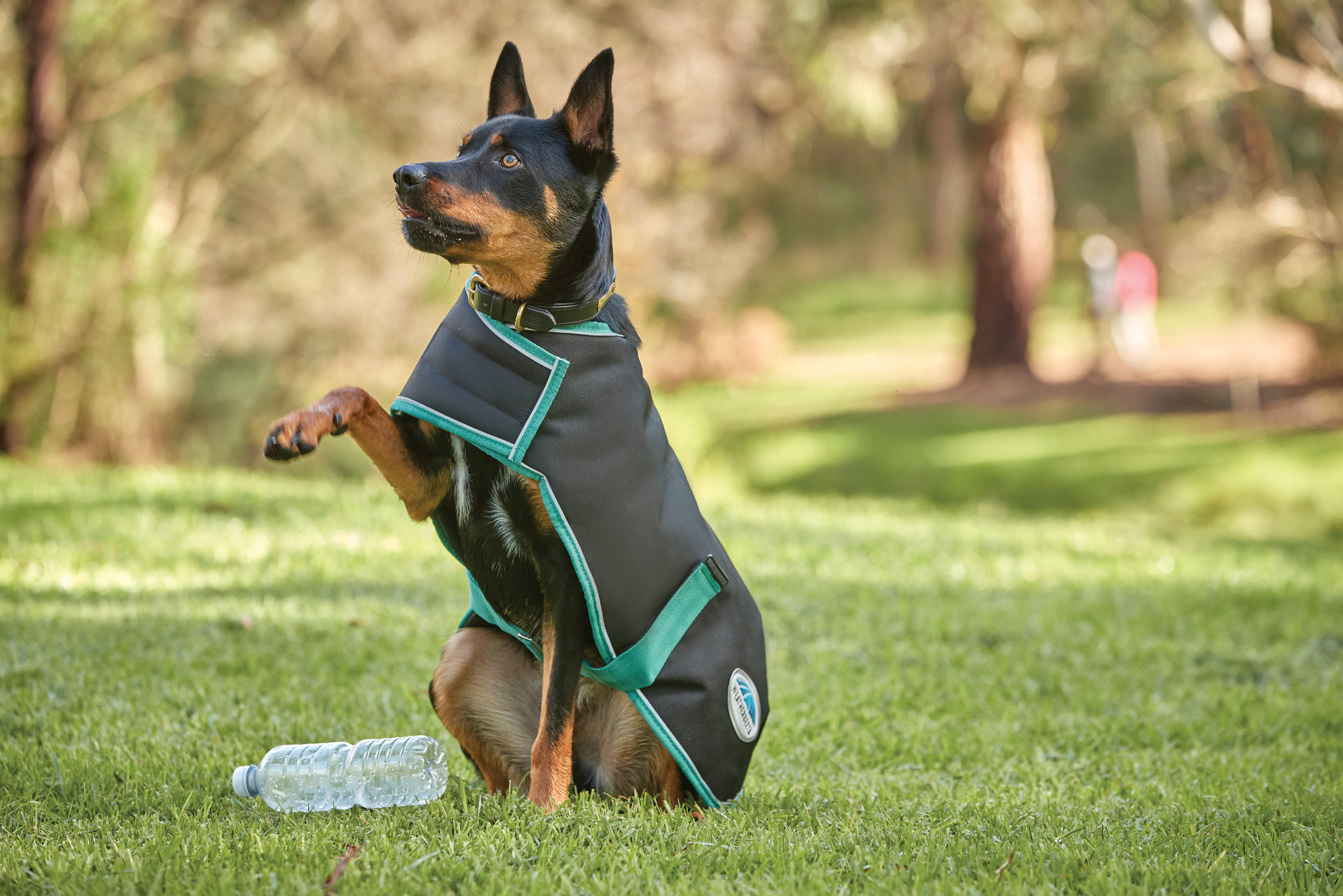 Weatherbeeta Green-Tec 900D Medium Dog Coat